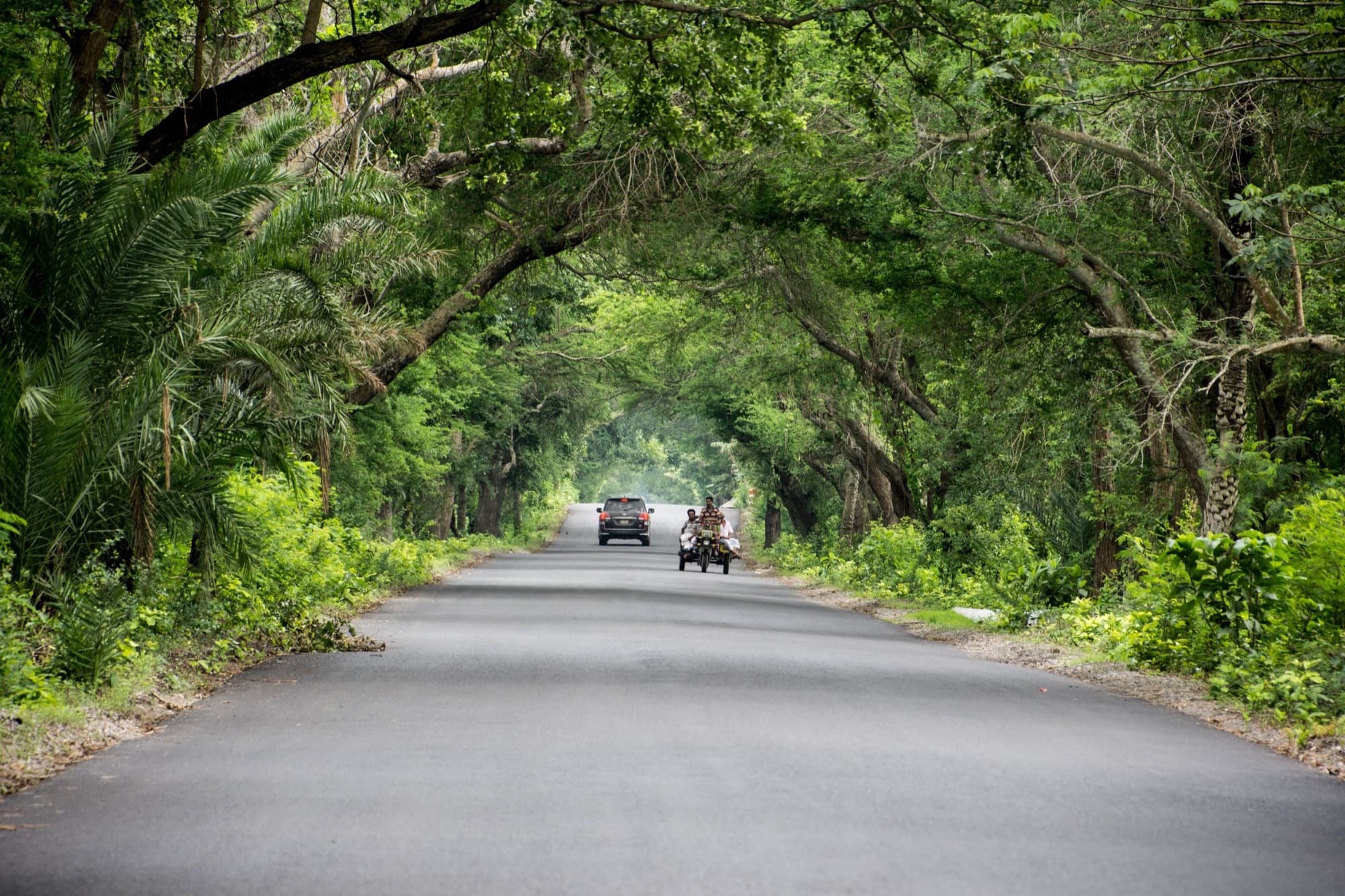 Embracing the Outdoors: A Guide to Sober Living and Thriving in Jacksonville, FL